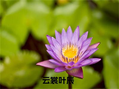 云裳叶辰（云裳叶辰）最新章节在线阅读-小说云裳叶辰完整版阅读