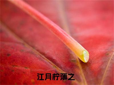 江月柠薄之是什么小说-江月柠薄之全文免费阅读无弹窗大结局（江月柠薄之）最新章节阅读