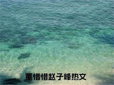 董惜惜赵子峰（董惜惜赵子峰全集无弹窗阅读）董惜惜赵子峰已完结小说全集完整版大结局笔趣阁（董惜惜赵子峰）最新章节列表_笔趣阁