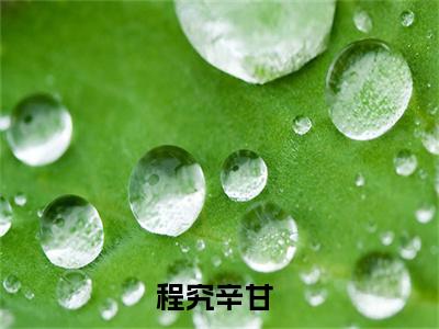 程究辛甘(程究辛甘)全文免费阅读无弹窗大结局_(程究辛甘)程究辛甘小说免费阅读最新章节列表笔趣阁（程究辛甘）