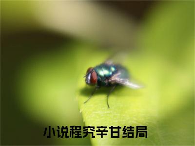 程究辛甘（程究辛甘）全文免费阅读无弹窗大结局_(程究辛甘小说免费阅读)_笔趣阁