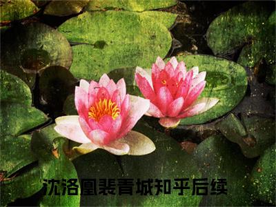 沈洛凰裴青城（沈洛凰裴青城）小说全文免费阅读-沈洛凰裴青城免费阅读完整版