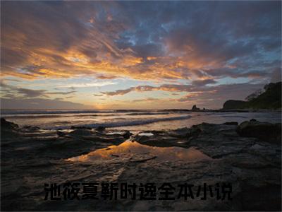 池筱夏靳时逸（池筱夏靳时逸）全文免费阅读无弹窗大结局_池筱夏靳时逸全文阅读最新章节列表_笔趣阁（池筱夏靳时逸）