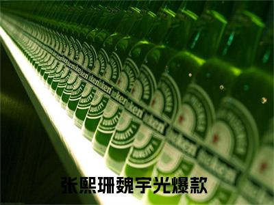 张熙珊魏宇光免费阅读（张熙珊魏宇光）完整版全文全章节阅读