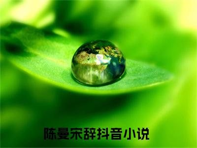 陈曼宋辞（陈曼宋辞）最新章节阅读-（陈曼宋辞）免费阅读大结局无弹窗