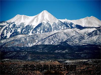 苏念厉景裕（苏念厉景裕）全文免费阅读无弹窗大结局_苏念厉景裕最新章节列表_笔趣阁（苏念厉景裕）