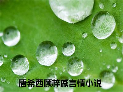 唐希西顾梓戚（唐希西顾梓戚）完整版全文全章节阅读唐希西顾梓戚