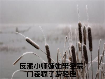 反派小师妹她带全宗门卷疯了梦轻瑶已完结小说《反派小师妹她带全宗门卷疯了梦轻瑶》在线全文阅读