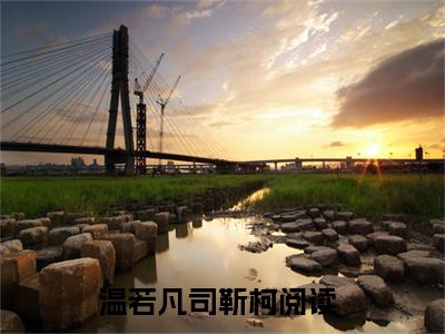 温若凡司靳柯（温若凡司靳柯）全文阅读完整版_温若凡司靳柯小说免费阅读大结局（温若凡司靳柯）