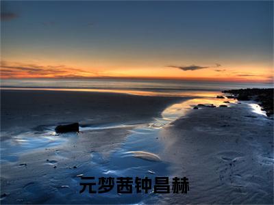 美文元梦茜钟昌赫大结局小说-小说（元梦茜钟昌赫）免费分享