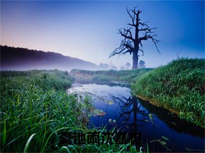 (热推新书)美文摘抄（夏池雨沈嘉树）主人公为（夏池雨沈嘉树）的小说 夏池雨沈嘉树大结局全文免费阅读_笔趣阁