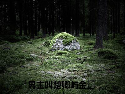 楚卿屿金玥全文免费阅读（楚卿屿金玥免费阅读无弹窗）楚卿屿金玥精彩小说阅读_笔趣阁