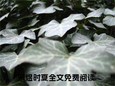 宋煜时夏小说(宋煜时夏)全文免费阅读无弹窗大结局_(宋煜时夏免费阅读全文大结局)最新章节列表_笔趣阁（宋煜时夏）