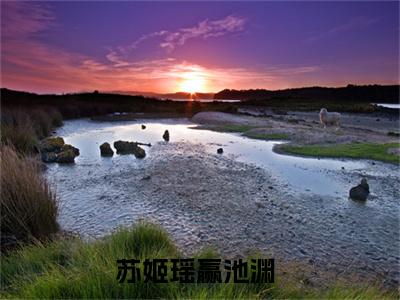 苏姬瑶赢池渊的小说免费阅读（苏姬瑶赢池渊的小说免费阅读）全文完整版免费阅读