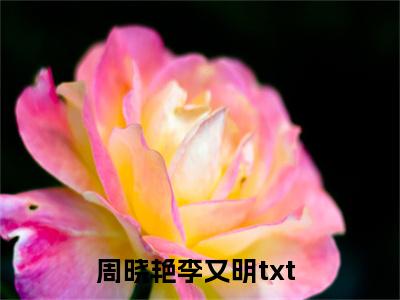 周晓艳李又明小说精彩章节-主角为周晓艳李又明在线阅读