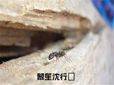 黎笙沈行暃全网首发完整小说主角黎笙沈行暃在线阅读