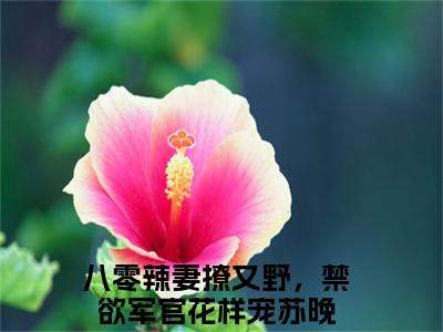 八零辣妻撩又野，禁欲军官花样宠苏晚全网首发小说-八零辣妻撩又野，禁欲军官花样宠苏晚无广告免费试读