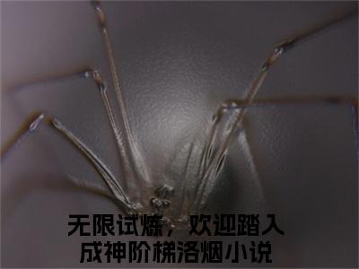 无限试炼，欢迎踏入成神阶梯洛烟正版小说最新章节在线阅读-完结版小说（无限试炼，欢迎踏入成神阶梯洛烟）