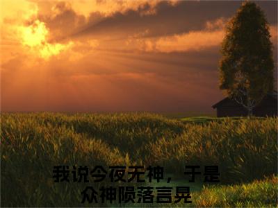 我说今夜无神，于是众神陨落言晃全网首发最新小说-我说今夜无神，于是众神陨落言晃全文在线免费阅读