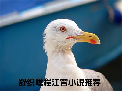 《舒织瞳程江霄》全文免费阅读无弹窗大结局_舒织瞳程江霄无弹窗全文阅读