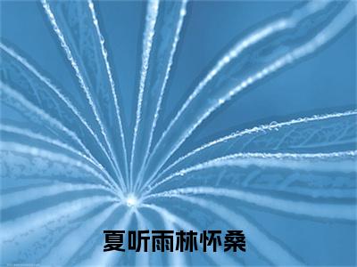 夏听雨林怀桑新书热荐免费小说全文完整版-小说精选片段阅读