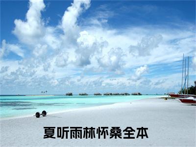 夏听雨林怀桑（夏听雨林怀桑）全文免费阅读无弹窗大结局_夏听雨林怀桑最新章节（夏听雨林怀桑）