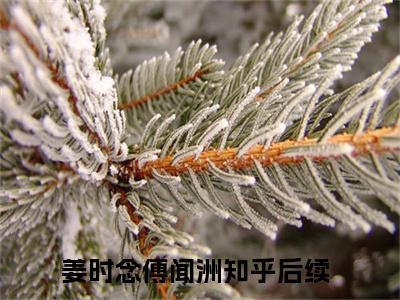 姜时念傅闻洲（姜时念傅闻洲)全文免费阅读无弹窗大结局_姜时念傅闻洲全文免费阅读_笔趣阁（姜时念傅闻洲）