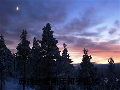 小说苏挽星陆斯年全文免费阅读无弹窗大结局-苏挽星陆斯年在线阅读