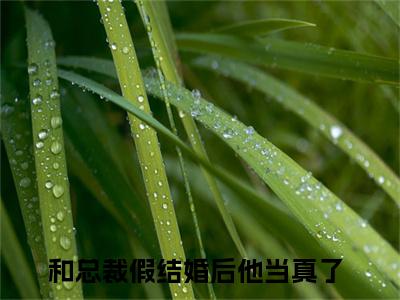 宋意妍最新章节（和总裁假结婚后他当真了）全文免费阅读无弹窗大结局_和总裁假结婚后他当真了免费阅读