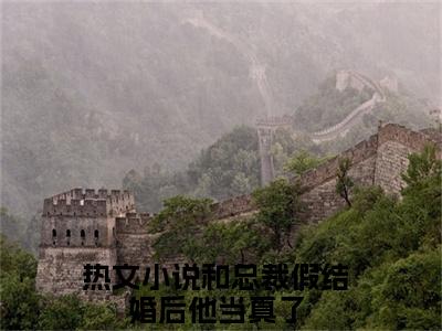 宋意妍全文免费阅读无弹窗大结局_宋意妍全文阅读_笔趣阁（和总裁假结婚后他当真了）