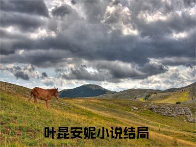 亿亿兆神豪的开挂人生（叶昆安妮）小说免费阅读_亿亿兆神豪的开挂人生精选小说全文阅读（叶昆安妮）