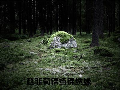 赵非荀锦鸢（锦绣缘）全文免费阅读无弹窗大结局_赵非荀锦鸢最新章节列表_笔趣阁（锦绣缘）