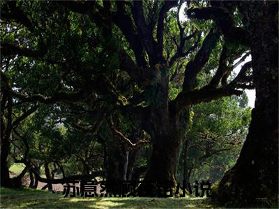 苏意然顾夜铭免费阅读无弹窗大结局，苏意然顾夜铭（最新全章节）全文阅读免费阅读-笔趣阁