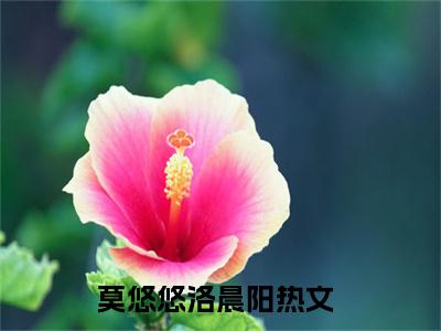 莫悠悠洛晨阳（莫悠悠洛晨阳）新上热文免费阅读-莫悠悠洛晨阳（莫悠悠洛晨阳）无广告在线阅读