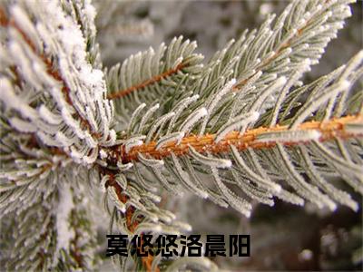 莫悠悠洛晨阳（莫悠悠洛晨阳全文在线阅读）-莫悠悠洛晨阳(莫悠悠洛晨阳)免费阅读