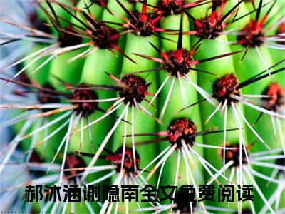 全章节完整《郝沐涵谢隐南》全文阅读《郝沐涵谢隐南》