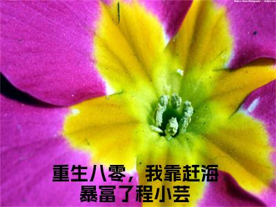 重生八零，我靠赶海暴富了程小芸（重生八零，我靠赶海暴富了程小芸）全文免费阅读大结局-（重生八零，我靠赶海暴富了程小芸）结局免费阅读