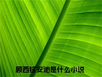 顾西铭安沁小说（顾西铭安沁）全文免费阅读无弹窗_顾西铭安沁全文免费阅读无弹窗最新章节列表笔趣阁（顾西铭安沁）