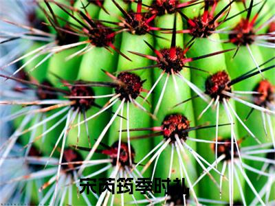 宋芮筠季时礼小说全文（宋芮筠季时礼）在线阅读-宋芮筠季时礼全文免费阅读无弹窗大结局