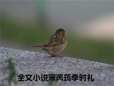 宋芮筠季时礼（宋芮筠季时礼）小说-宋芮筠季时礼最新章节免费阅读