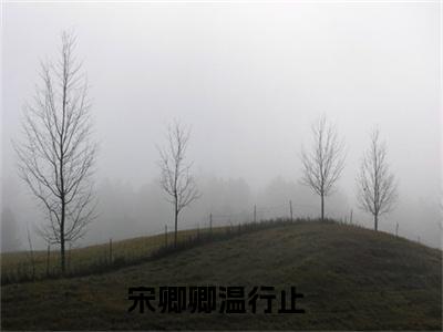 宋卿卿温行止是哪部小说的主角-《宋卿卿温行止》全文无弹窗完整版阅读