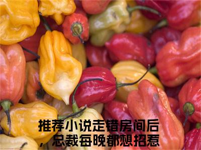 走错房间后，总裁每晚都想招惹我（走错房间后，总裁每晚都想招惹我）小说全文免费阅读正版无弹窗_陆明月晏承之小说免费阅读全文无弹窗_笔趣阁