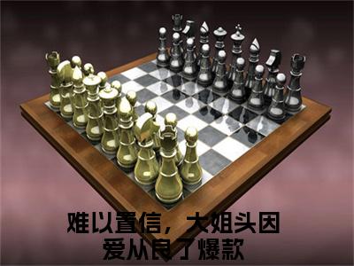 林清雾陆延生（难以置信，大姐头因爱从良了小说）全文免费阅读无弹窗大结局_难以置信，大姐头因爱从良了完整版小说阅读