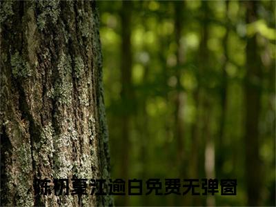 陈初夏江逾白(陈初夏江逾白)在线阅读无弹窗大结局-陈初夏江逾白小说最新章节阅读_笔趣阁（陈初夏江逾白）