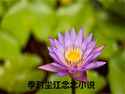 季时尘江念念（季时尘江念念）全文免费阅读无弹窗大结局_(季时尘江念念小说免费阅读)_笔趣阁