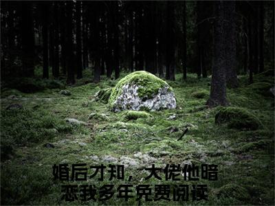 婚后才知，大佬他暗恋我多年（秦祁陆蓁蓁）全文免费阅读无弹窗大结局_（秦祁陆蓁蓁小说免费阅读）_笔趣阁