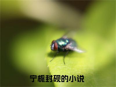 宁栀封砚（宁栀封砚）全文免费阅读无弹窗大结局_宁栀封砚在线阅读（宁栀封砚）