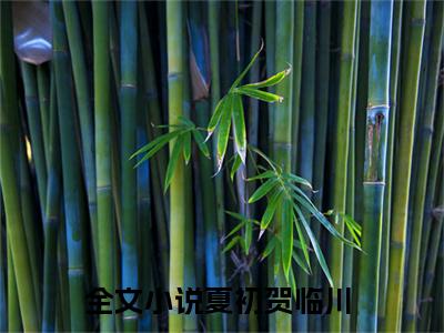 夏初贺临川无弹窗热文（夏初贺临川）在线阅读-夏初贺临川小说在哪里可以看