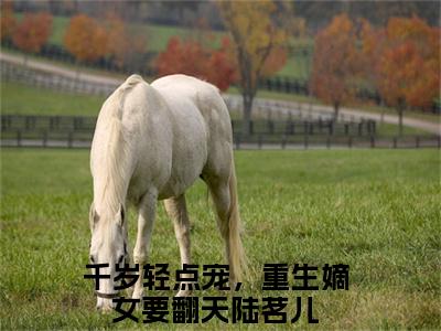 千岁轻点宠，重生嫡女要翻天陆茗儿(千岁轻点宠，重生嫡女要翻天陆茗儿)全文免费阅读大结局_千岁轻点宠，重生嫡女要翻天陆茗儿最新章节列表_笔趣阁（千岁轻点宠，重生嫡女要翻天陆茗儿）