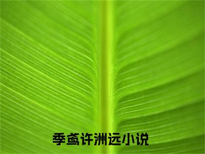 季鸢许洲远无弹窗热文在线阅读_季鸢许洲远(季鸢许洲远小说免费阅读全文大结局)最新章节列表_笔趣阁